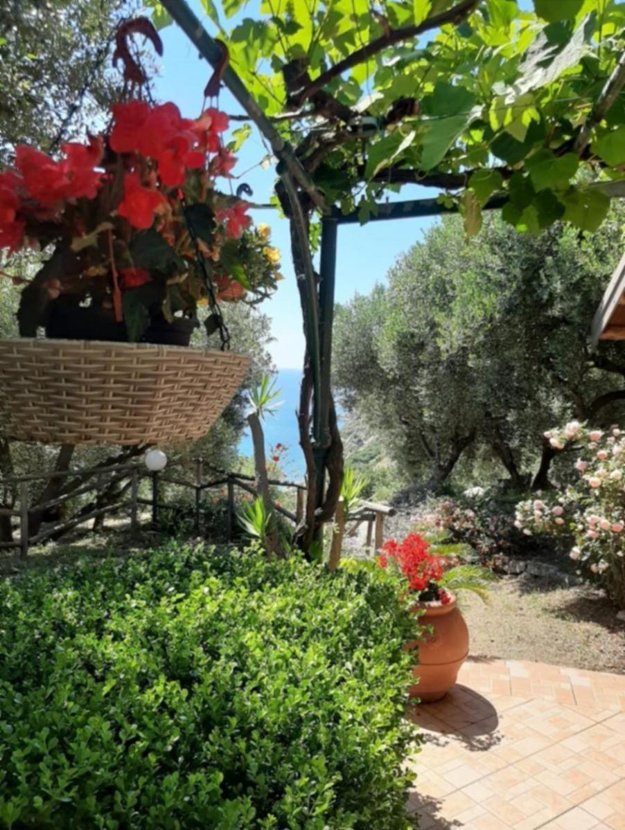 Villa Gemma Joppolo Exterior photo